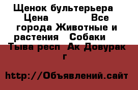 Щенок бультерьера › Цена ­ 35 000 - Все города Животные и растения » Собаки   . Тыва респ.,Ак-Довурак г.